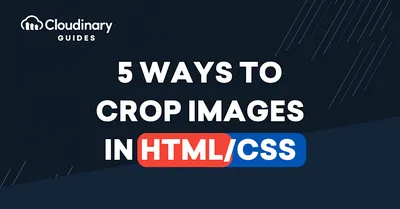 Learn HTML | Codecademy