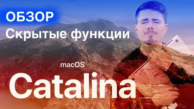 10 полезных функций Apple MacOS Sierra, о которых стоит узнать | Журнал  Digital World