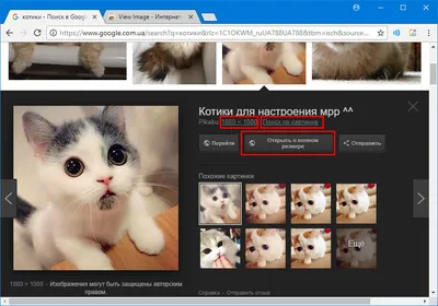 10 расширений для Chrome, которые прокачают поиск Google - Лайфхакер