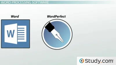 How to Insert a Signature in Word in 6 Simple Steps (2023 Update)