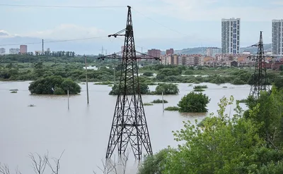 Вино Телиани Вели Алазанская долина купить по цене 620.00 руб. в Москве