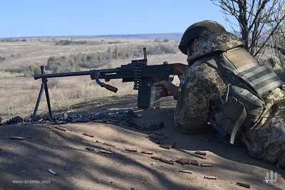 Teliani Valley Kindzmarauli 2019 0.75 л купить - Грузинское вино Телиани  Вели Киндзмраули цена в магазине