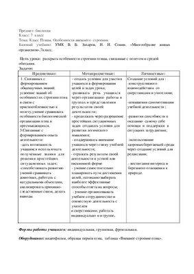 Презентация на тему: \"«Птицы» Внешнее строение птиц Внешнее строение птиц  строение перьев Контурное перо Пуховое перо.\". Скачать бесплатно и без  регистрации.