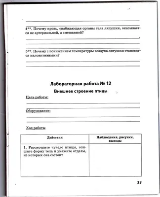 41-42. Класс Птицы. Среда обитания и внешнее строение птиц. Скелет и  мускулатура птиц