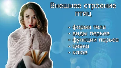 Ответы Mail.ru: Какие особенности внешнего строения птицы связаны с её  способностью к полёту? Помогите!!!