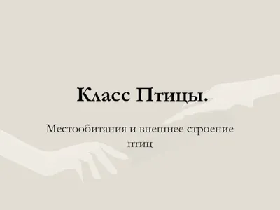 экологи - Педагогические таланты России