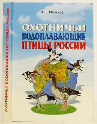 Аки посуху | Пикабу