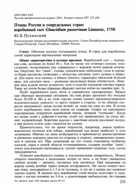 Лэпбук «Зимующие птицы» для старшего дошкольного возраста (16 фото).  Воспитателям детских садов, школьным учителям и педагогам - Маам.ру