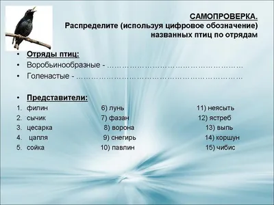 Класс птицы, подготовка к ЕГЭ по биологии