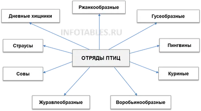 Отряд Удоды (Upupae) (Н. А. Гладков) [1970 - - Жизнь животных. Том 5. Птицы]