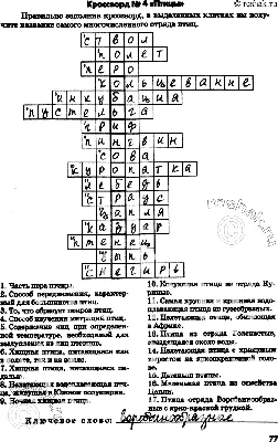 Отряд Страусы (Struthioiformes) | это... Что такое Отряд Страусы  (Struthioiformes)?