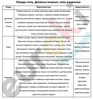 Детский атлас-определитель животных Джулс Ховард, Фэй Эванс - купить книгу  Детский атлас-определитель животных в Минске — Издательство Эксмо на OZ.by