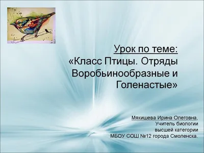 Книга Птицы в городе. Где найти и как узнать – купить в Москве, цены в  интернет-магазинах на Мегамаркет