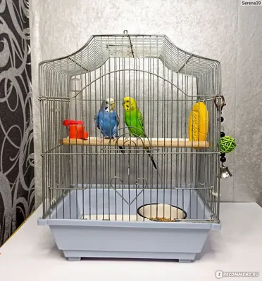 Сетка для клетки птиц Aliexpress Nylon mesh bird cage, skirt cover, Easy  seed cleaning, bird protection, bird cage, accessories, parrot Air net,  bird cage - «Не хотите заводить попугаев потому, что от