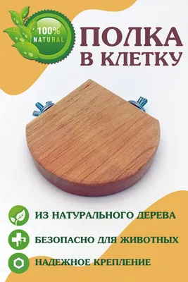 Полка в клетку для птиц и грызунов, угловая с двумя креплениями - купить с  доставкой по выгодным ценам в интернет-магазине OZON (599713870)