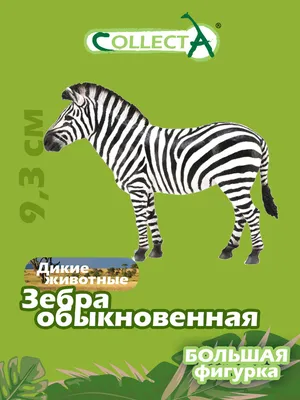 Купить BJÖRKSTA БЬЁРКСТА - Картина с рамой, Зебра/цвет алюминия с доставкой  до двери. Характеристики, цена 4289 руб. | Артикул: S39416828