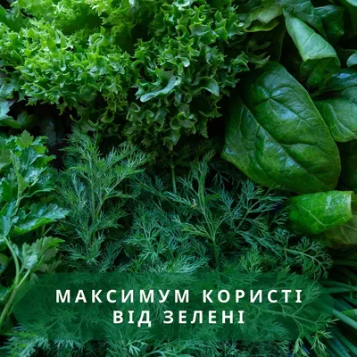 Свежая зелень в Узбекистане оказалась дороже, чем в РФ – обзор рынка свежей  зелени за январь • EastFruit