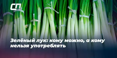 Лук, лучок. Все о луке для детей. Воспитателям детских садов, школьным  учителям и педагогам - Маам.ру