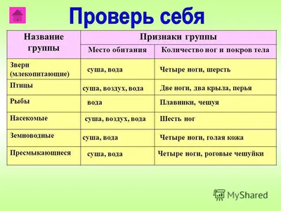 ЖИВОТНЫЙ МИР • Большая российская энциклопедия - электронная версия