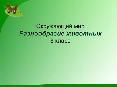 Жили были рыбы, птицы, звери» 2022, Воробьевский район — дата и место  проведения, программа мероприятия.