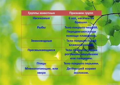 Конспект урока с презентацией 3 класс \" Разнообразие животных\"