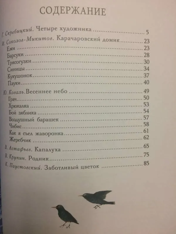 Четыре художника скребицкий план пересказа. Скребицкий оглавление. Скребицкий г рассказы оглавление. Скребицкий загадка оглавление.