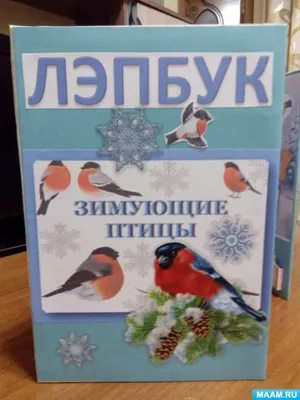 Обучающие карточки: Времена года, Зимующие птицы России (2 комплекта) -  Бук-сток