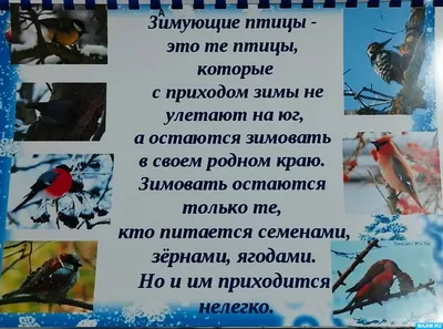 Из природных парков Волгоградской области птицы улетают на зимовку