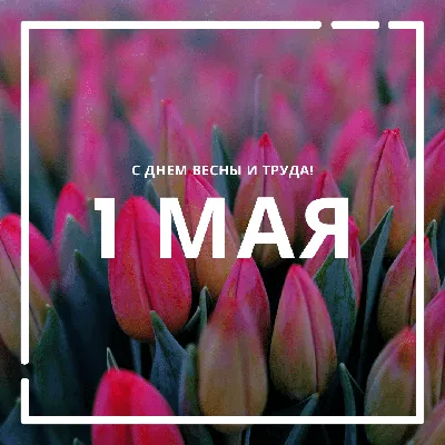 1 мая – Праздник весны и труда