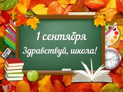 Главное за день в Петербурге 1 сентября: 16 первых классов в одной школе,  обрушение потолка в гимназии и самая грустная линейка актера Сергея Селина