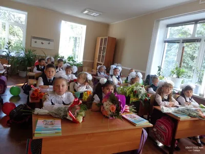 Эксперты оценили решение открыть школы с 1 сентября – Москва 24, 30.06.2020