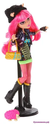 Купить Кукла Monster High 13 желаний Клодин Вульф, 27 см, Y7705 (Артикул:  RTRTRZN) по Промокоду SIDEX250 в г. Новосибирск + обзор и отзывы - Куклы и  пупсы в Новосибирск