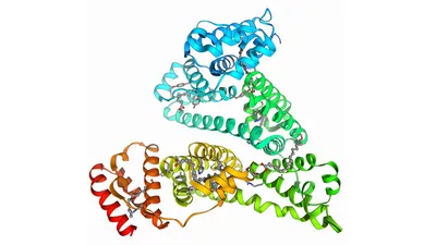 Spotted phenotypes in horses lost attractiveness in the Middle Ages |  Scientific Reports