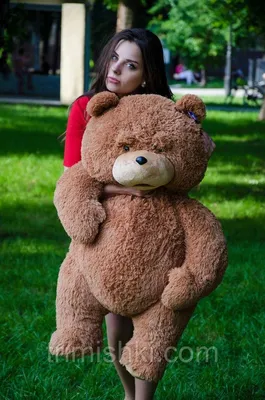 Третий лишний 2 / Ted 2 (2015, фильм) - «Этакий МИШКА-ШАЛУНИШКАТретий лишний  2 / Ted 2» | отзывы