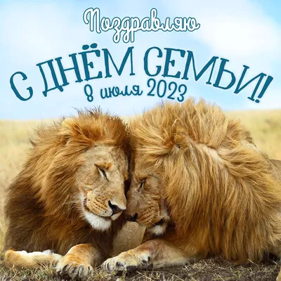 Управление ЗАГС Самарской области on X: \"8 июля – День семьи, любви и  верности. Это праздник для каждой российской семьи.Он подчеркивает важность  семейных традиций. В этот день принято дарить ромашки🌼 – символ