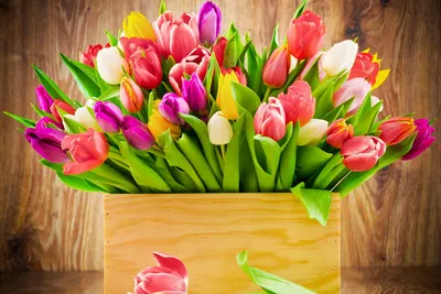 Открытки с 8 марта с тюльпанами - скачайте бесплатно на Davno.ru