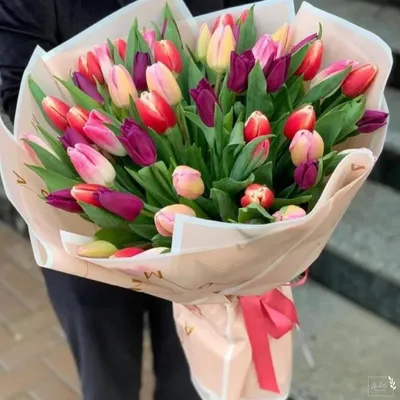 Красивая фото-открытка с тюльпанами на 8 марта - Скачайте на Davno.ru