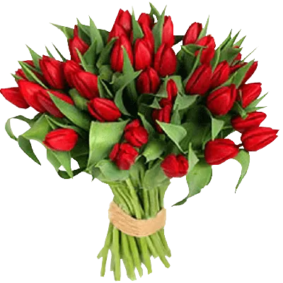 Крупные, красивые тюльпаны ждут своих постоянных клиентов к 8 марта успейте  порадовать прекрасный женский пол. | Instagram