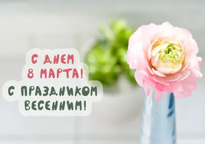 Красивые тюльпаны на 8 марта открытки, поздравления на cards.tochka.net