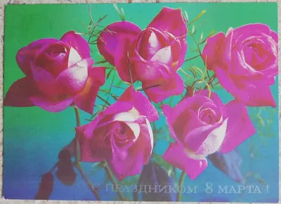 Розы на 8 марта купить в Краснодаре с доставкой от интернет-магазина  КОФЕЦВЕТЫ