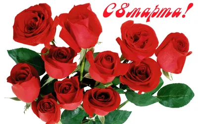 Розы из мыла/ Мыльные розы/ Букет на день рождения/ Подарок к 8 марта/  Букет для бабушки/ Оригинальны подарок (ID#1519813179), цена: 1188 ₴,  купить на Prom.ua