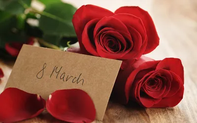 Топ цветов на 8 марта. Какие цветы лучше выбирать в женский день?