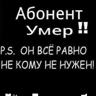 Elena Mashanova on Instagram: \"Абонент больше не в сети!!!! Два дня спустя  , еду домой и думаю , срочно нужно добраться до Слесаря, хоть бы ещё не умер  , сильно большой уже ,