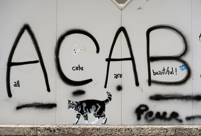 File:ACAB (All Cats Are Beautiful).jpg - Wikipedia
