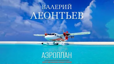 Взорвался бензобак у аэроплана в Закарпатской области » Слово и Дело