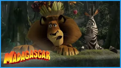 Alex The Lion From Madagascar The Video Game Png by Kylewithem on DeviantArt