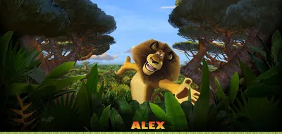 Mascot Alex the famous lion of Madagascar - Sizes L (175-180CM)