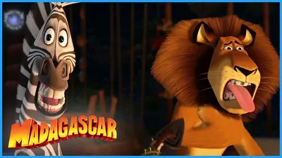 Alex Marty, madagascar 3 Europes Most Wanted, Melman, Mort, madagascar  Escape 2 Africa, Marty, penguins Of Madagascar, Madagascar, Alex,  terrestrial Animal | Anyrgb