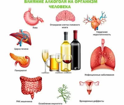 Вред от употребления алкоголя | ФБУЗ «Центр гигиены и эпидемиологии в  Республике Татарстан (Татарстан)»