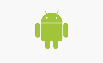 Android 14 release date: When is the next update? - Android Authority